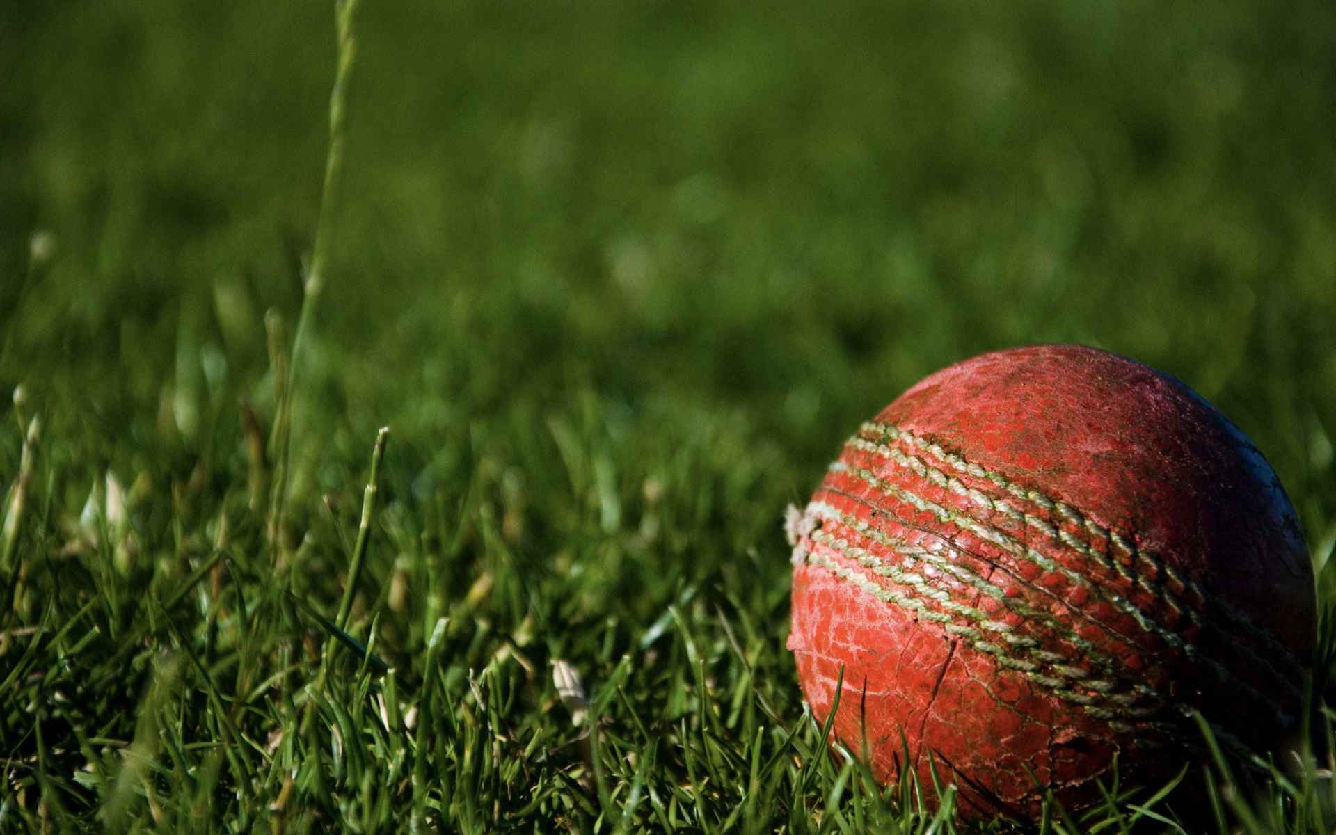 Experience Cricket In The West Indies Zenbreak Experience Cricket In The West Indies Zenbreak